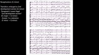 A Guided Tour of Mozart's 40th Symphony in G minor, K. 550 (Video 1 of 2)