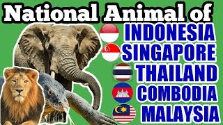 national animal of indonesia, cambodia, malaysia, thailand, singapore | national animal |