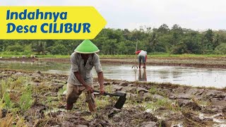 AKTIFITAS DI PAGI HARI DAN PEMANDANGAN DESA CILIBUR KEC. PAGUYANGAN