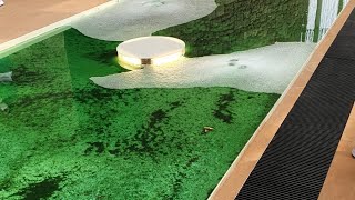 EXPO 2020 Dubai: vasche alga Spirulina