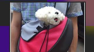 Front Pack Dog Carriers Small Dogs - Dog Front Carrier Review