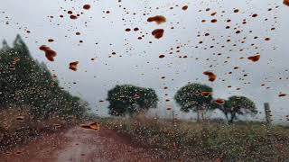 Parabrisas de pick-up com aplicação de water off da Wurth