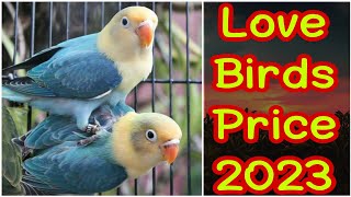 Love Birds 2023 | Love Birds Pakistan 2023 | Fresh Price Of Love Birds 2023 | EP 32