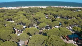 Rivaverde Family Camping Village - Club del Sole 2024