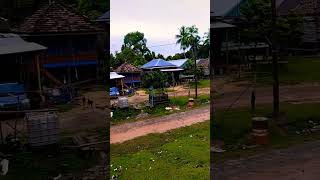 suasana di pagi hari dusun tribel.teringat di kampung halaman.#shorts #shortvideo