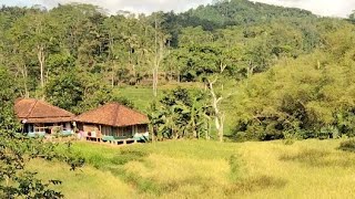 Masyaallah 😍tak di sangka seindah ini suasana rumah terpencil di tengah sawah