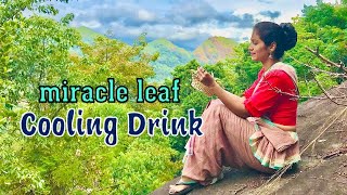 Villager's healthy drink | Divine medicine for kidney stones | Traditional cooling drink | Akkapaana