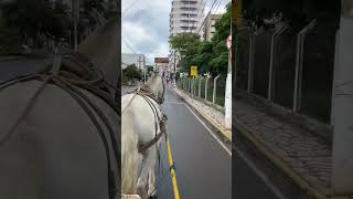 Passeio de Charrete em São Lourenço MG