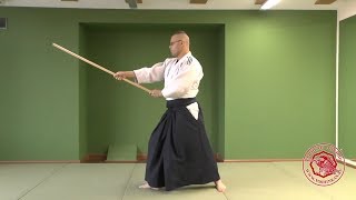 13 Jo Kata  Yoshinkan Aikido style