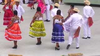 Sones y Chilenas (San Juan Cacahuatepec) Guelaguetza 2013