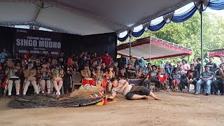 SOLAH PEMBARONG DADAK MERAK REOG PONOROGO NGADISANAN BERBAHAYA #dadakmerak #reog