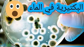 البكتيرية في الماء . شوفو شنو كتشربو #الماء #البكتيرية