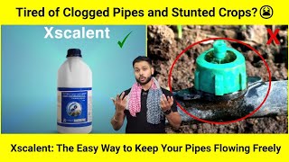 Xscalent: The Safe Solution for Clean Irrigation Pipes and Healthier Crops!