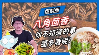 【香料QA#43】八角茴香全攻略｜八角茴香產地、收成、分辨、迷思、應用｜最通用的中式香料就是八角啦～｜味旅Spices Journey