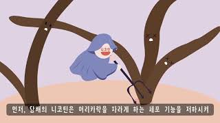 [금연길라잡이 교육영상] 흡연이 탈모에 미치는 영향