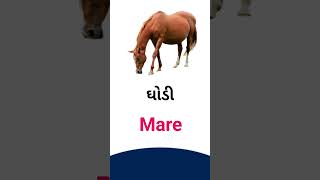 Mare meaning in Gujarati - English Dictionary