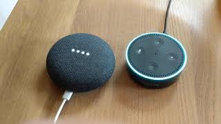 Alexa   Google Home   Tell Each Other Jokes