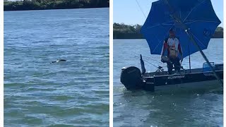 !!!!!!! Uma cobra cascavel quase subiu no meu barco!!!!!! pescaria de piapara mes de maio