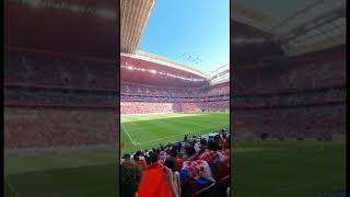 Morocco Fans at stadium