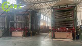 Automatic 30 Layers Plywood Hot Press Line for Plywood Panel Manufacturing