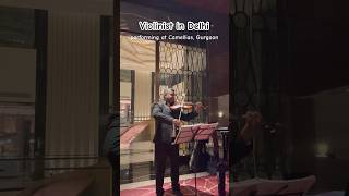 Violinist in Delhi | ed Sheeran | Camellias Gurgaon #shorts #shows #ytshorts