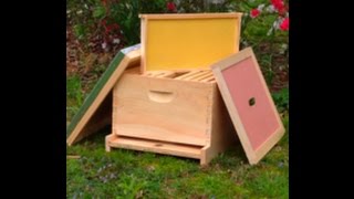 First Year Of Beekeeping (basic equipment) starting your beehive