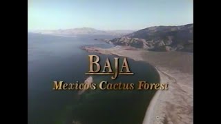 Baja: Mexico's Cactus Forest (1989)