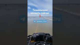 Местный житель делится видео с затопленной дорогой в Казанском районе. — Поворот на Наливку