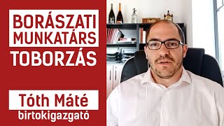 REFERENCIA - TÓTH MÁTÉ - GRÓF DÉGENFELD KASTÉLYSZÁLLÓ ÉS BORÁSZAT - OnlineToborzás.hu