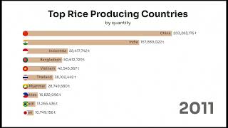 UPDATED! Top Rice Producing Countries 1990-2022