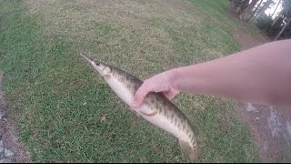 My First Ever Gar