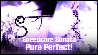 16키도 판정이 잘나올 수 있다는 것을 증명했습니다. | Speedcore Sonata Pure Perfect!