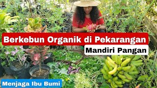 AYO!! BERKEBUN ORGANIK DI PEKARANGAN!! TANAM PANGANMU SENDIRI!! #viralkan #berkebun #kebunorganik