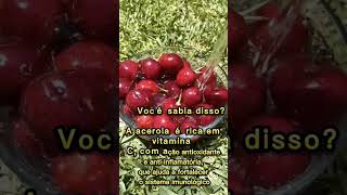 Acerola.#shortvideo #remédios #dicas