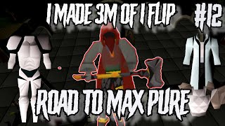 I Made 3m Of 1 Flip + Skilling Gainz ! - Road To Max Pure #12