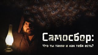 Самосбор: Что ты такое и как тебя есть?