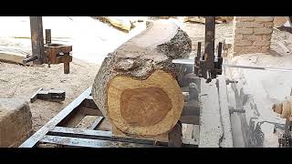 dangerous way of wood cutting