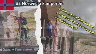 #2 Norwegia kamperem - Lillehammer, punkt widokowy SNØHETTA gdzie szukamy wołów piżmowych