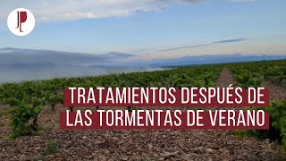 Tratamientos después de las tormentas de verano