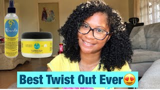 Perfect Two Strand Twist Out|Curls Blueberry Bliss Curl Moisturizer And Twist N Shout Cream