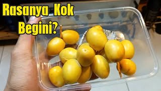 Review Rasa Buah Kurma Muda