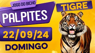 PALPITE DO DIA 22/09/2024 - JOGO DO BICHO 🍀 TODAS AS LOTERIAS 🍀