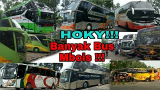 HOKY!! HUNTING BUS PREMIUM DI PORIS - Bus apa aja sih yg masuk Poris ??