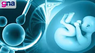 Bariatric Surgery Before IVF for Tubal Factor? | Weight & Fertility Considerations