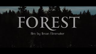 Forest - cinematic 4k Video shot