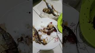 MAKAN MALAM MINGGUAN #shorts #viralvideo #trending #food #kuliner #video #mukbang #foodblogger #fyp