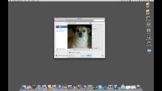 How to Change the Profile Picture on a Mac