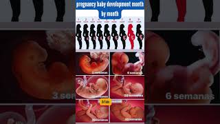 A Closer Look at Pregnancy Growth Month by Month #pregnancy #development #baby