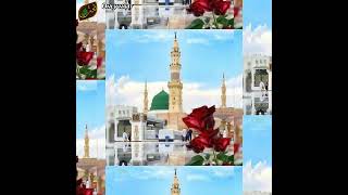 12 Rabiullawwal status Islamic shorts video #shorts #islamicshorts #shorts #Rabiullawwal