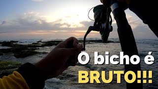 Fui PESCAR de MADRUGADA e tive uma SUPRESA!!! - Pescaria na Praia de BUSCA VIDA - ROCK FISHING!!!